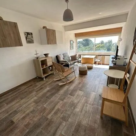 Vue Mer, Des Sablettes A Pied Et Climatisation Apartment *