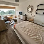 Appartement Vue Mer, Des Sablettes A Pied Et Climatisation